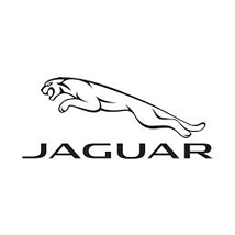 Jaguar Modelleri için Kapı Limitör Tamir Kitleri